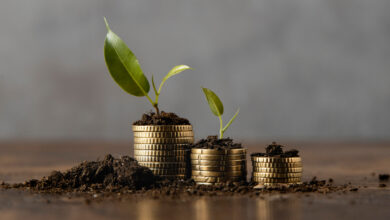 فراوانی چیست و چگونه از آن لذت ببریم؟