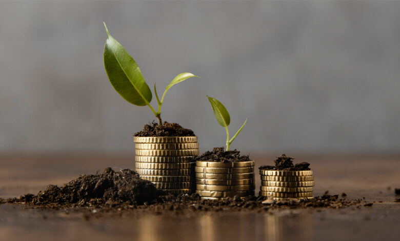 فراوانی چیست و چگونه از آن لذت ببریم؟