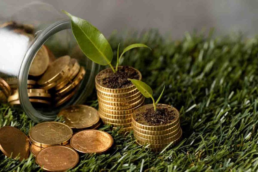 چگونه با سرمایه‌گذاری هوشمندانه، ثروت بسازیم؟