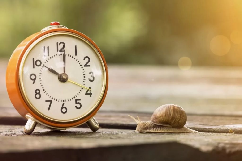 چگونه احساس تسریع یا کندی زمان را کنترل کنیم؟